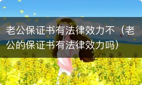 老公保证书有法律效力不（老公的保证书有法律效力吗）