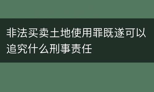 非法买卖土地使用罪既遂可以追究什么刑事责任