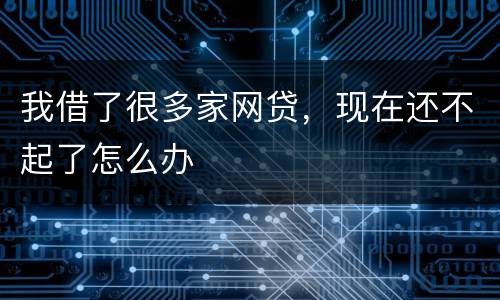 我借了很多家网贷，现在还不起了怎么办
