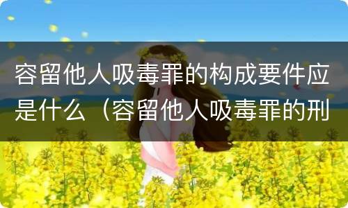 容留他人吸毒罪的构成要件应是什么（容留他人吸毒罪的刑事责任）