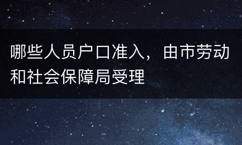 哪些人员户口准入，由市劳动和社会保障局受理