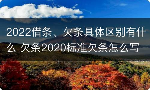 2022借条、欠条具体区别有什么 欠条2020标准欠条怎么写