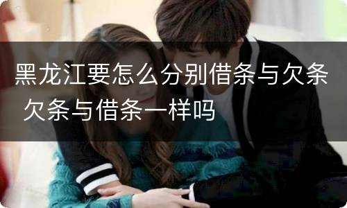 黑龙江要怎么分别借条与欠条 欠条与借条一样吗
