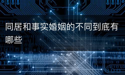 同居和事实婚姻的不同到底有哪些