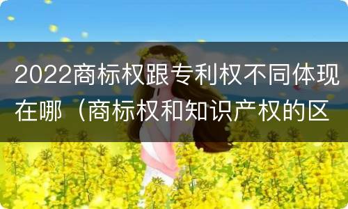 2022商标权跟专利权不同体现在哪（商标权和知识产权的区别）