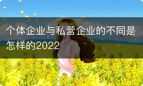个体企业与私营企业的不同是怎样的2022