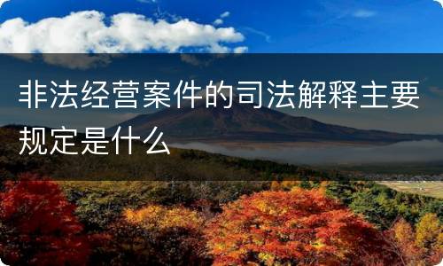 非法经营案件的司法解释主要规定是什么