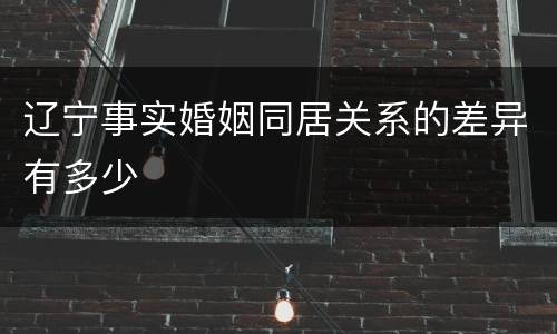 辽宁事实婚姻同居关系的差异有多少