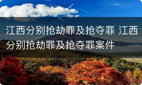 江西分别抢劫罪及抢夺罪 江西分别抢劫罪及抢夺罪案件