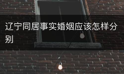 辽宁同居事实婚姻应该怎样分别