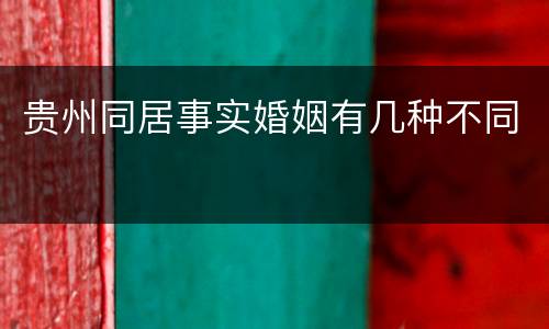 贵州同居事实婚姻有几种不同