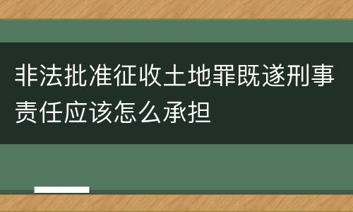 非法批准征收土地罪既遂刑事责任应该怎么承担