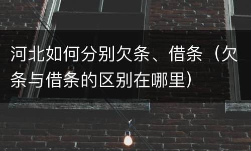 河北如何分别欠条、借条（欠条与借条的区别在哪里）