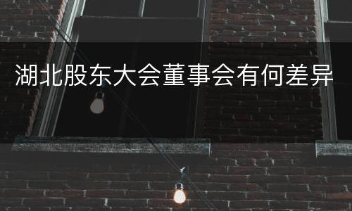 湖北股东大会董事会有何差异