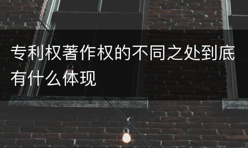 专利权著作权的不同之处到底有什么体现