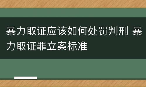 暴力取证应该如何处罚判刑 暴力取证罪立案标准