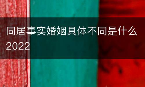 同居事实婚姻具体不同是什么2022