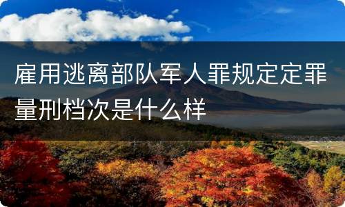 雇用逃离部队军人罪规定定罪量刑档次是什么样