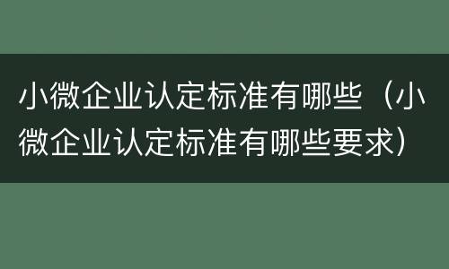 小微企业认定标准有哪些（小微企业认定标准有哪些要求）