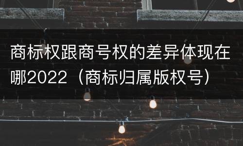 商标权跟商号权的差异体现在哪2022（商标归属版权号）