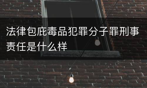 法律包庇毒品犯罪分子罪刑事责任是什么样