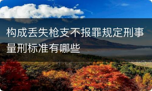构成丢失枪支不报罪规定刑事量刑标准有哪些