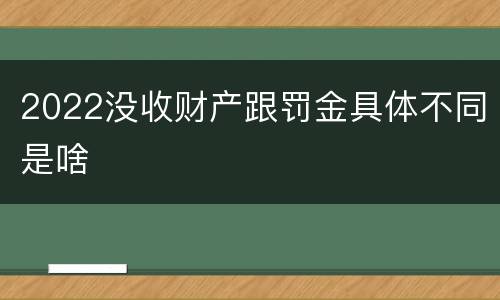 2022没收财产跟罚金具体不同是啥