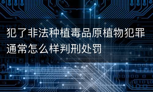 犯了非法种植毒品原植物犯罪通常怎么样判刑处罚