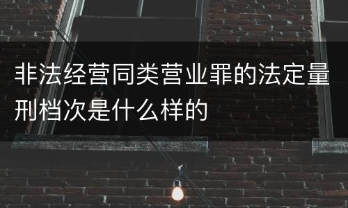非法经营同类营业罪的法定量刑档次是什么样的