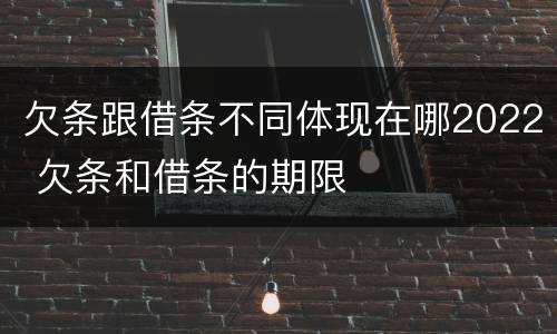 欠条跟借条不同体现在哪2022 欠条和借条的期限