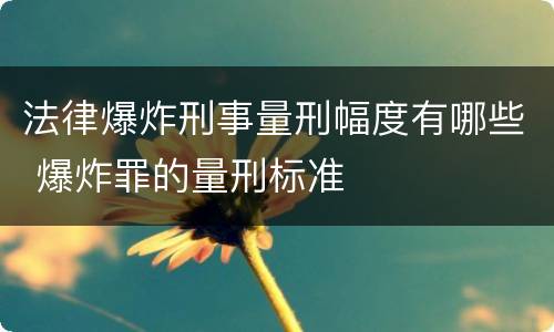 法律爆炸刑事量刑幅度有哪些 爆炸罪的量刑标准