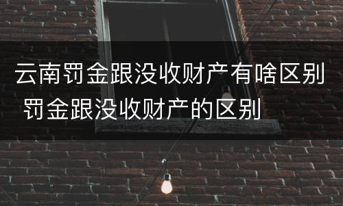 云南罚金跟没收财产有啥区别 罚金跟没收财产的区别