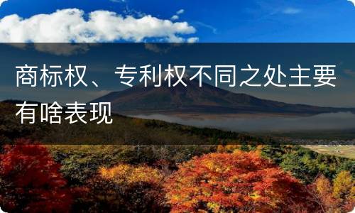 商标权、专利权不同之处主要有啥表现
