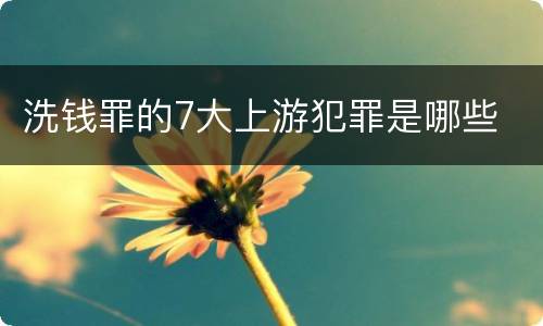 洗钱罪的7大上游犯罪是哪些