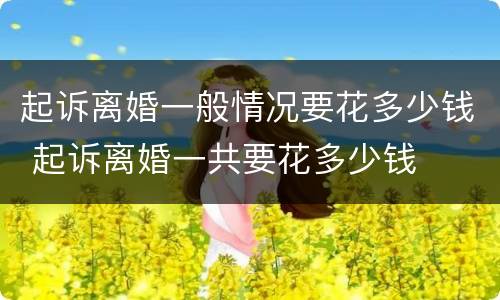 起诉离婚一般情况要花多少钱 起诉离婚一共要花多少钱
