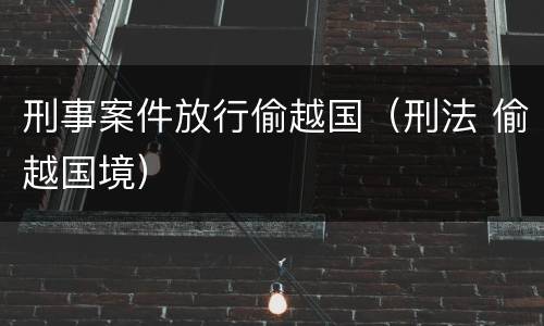 刑事案件放行偷越国（刑法 偷越国境）