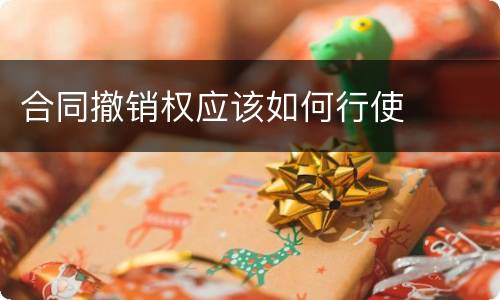 合同撤销权应该如何行使