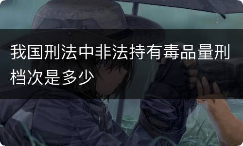 我国刑法中非法持有毒品量刑档次是多少