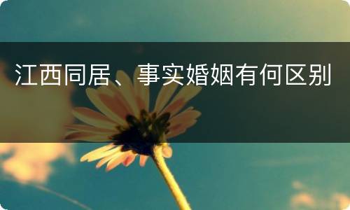 江西同居、事实婚姻有何区别