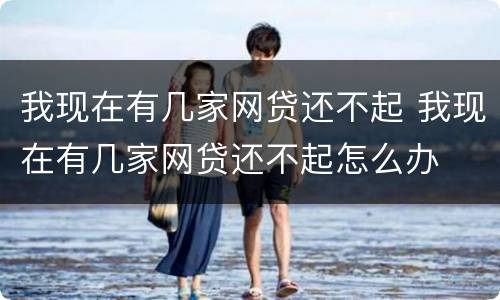 我现在有几家网贷还不起 我现在有几家网贷还不起怎么办