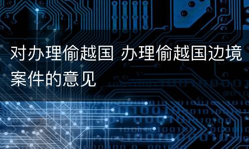 对办理偷越国 办理偷越国边境案件的意见