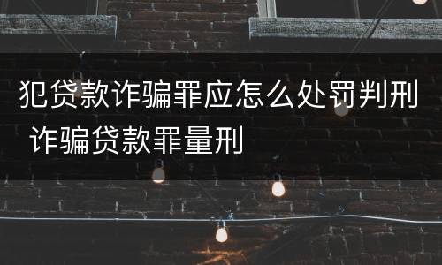 犯贷款诈骗罪应怎么处罚判刑 诈骗贷款罪量刑