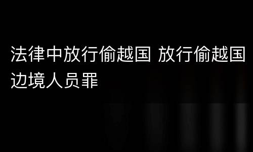 法律中放行偷越国 放行偷越国边境人员罪