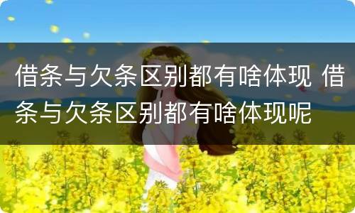 借条与欠条区别都有啥体现 借条与欠条区别都有啥体现呢