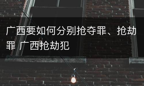 广西要如何分别抢夺罪、抢劫罪 广西抢劫犯