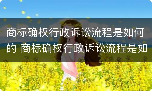 商标确权行政诉讼流程是如何的 商标确权行政诉讼流程是如何的