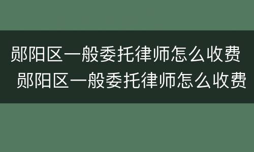 郧阳区一般委托律师怎么收费 郧阳区一般委托律师怎么收费的