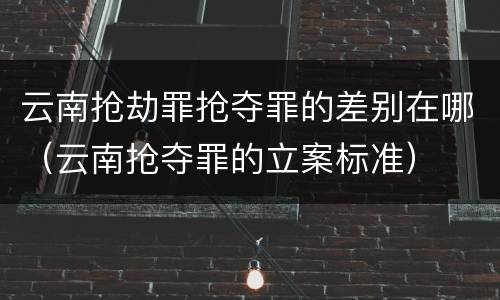 云南抢劫罪抢夺罪的差别在哪（云南抢夺罪的立案标准）