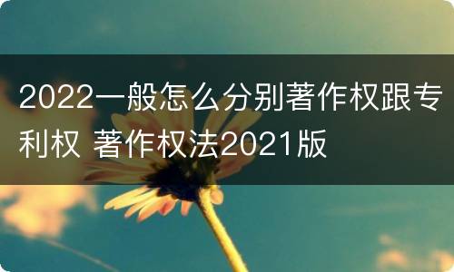2022一般怎么分别著作权跟专利权 著作权法2021版