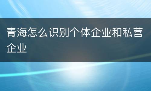 青海怎么识别个体企业和私营企业